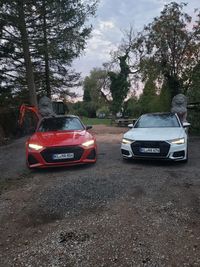 AUDI A6 und RS6